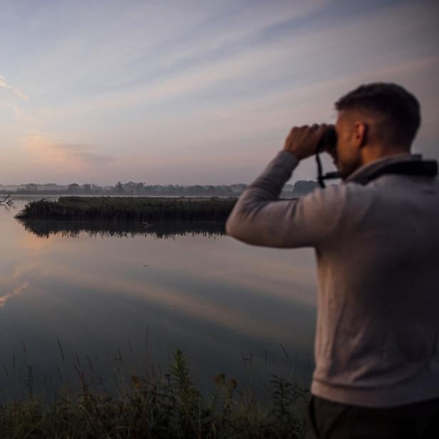 untererinnvogelsafari_oberoesterreichtourismusinnvierteltourismustomson